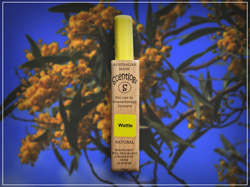 Smell of Australia in spring.  Wattle Scentlogs natural wax melts will fill your room with the rich, sweet, floral, honey and woody aroma of wattle. Made in Tasmania